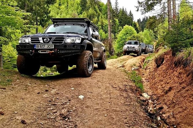 4x4 Driving Experience at Flying Altitudes - 7 Days - Bran Castle and Diham Views: A Dracula Stop With Mountain Coffee