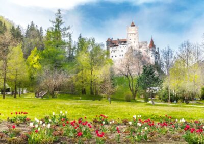 Bucharest: Dracula Castle, Peles Castle & Brasov Guided Tour - Pickup and the Coach Routine From Central Bucharest