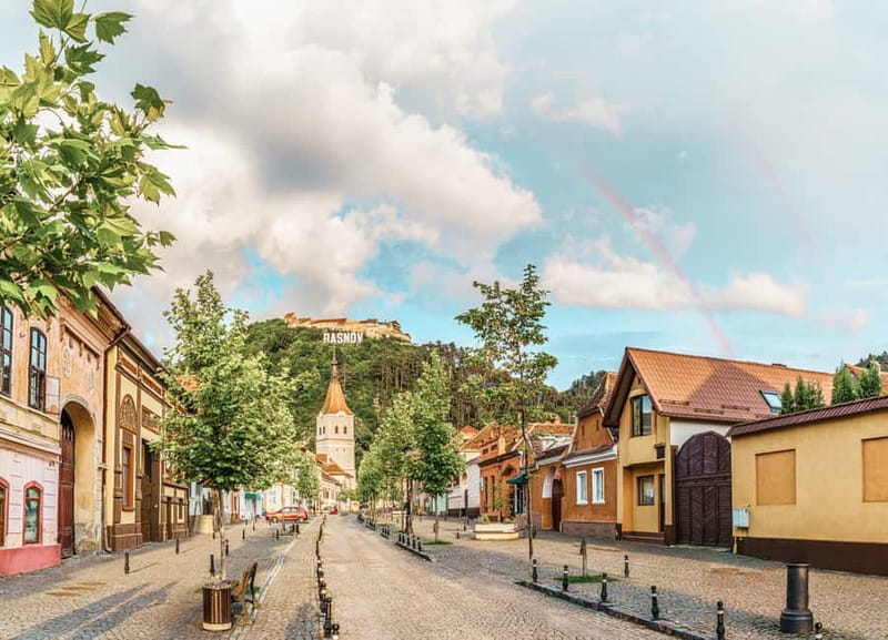 Bucharest: Dracula's Castle, Peleș Castle & Brașov Day Trip - Price and value: how the extra castle fees affect what you’re really paying