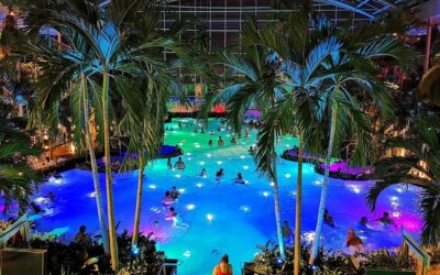 Bucharest: Therme Bucharest Spa Day with Luxury Transfer - The luxury limousine ride from Bucharest: comfortable start, easy finish