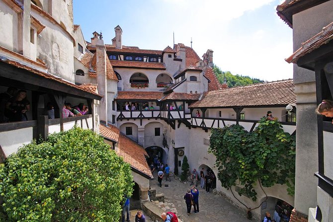 Day trip to Dracula's Castle, Peles Castle and Medieval Brasov - Key highlights worth your attention