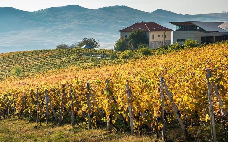 From Bucharest: Exclusive Dealu Mare Wine Tasting Tour - The drive from Bucharest: Old Wine Road scenery with a purpose