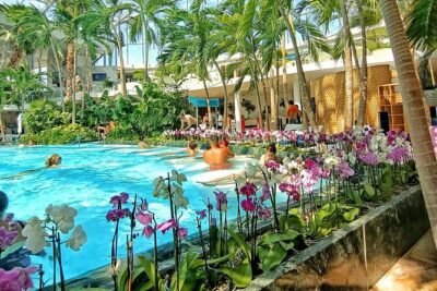 Therme Bucharest Tickets and Water Theme Park - PALM tropical pools, 800,000 plants, and the sand-beach reset